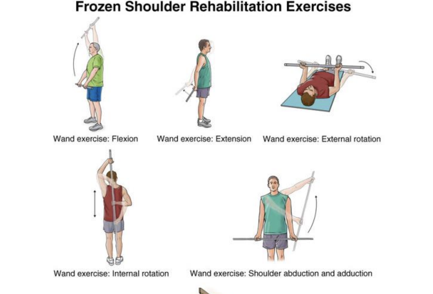 Exercise Image