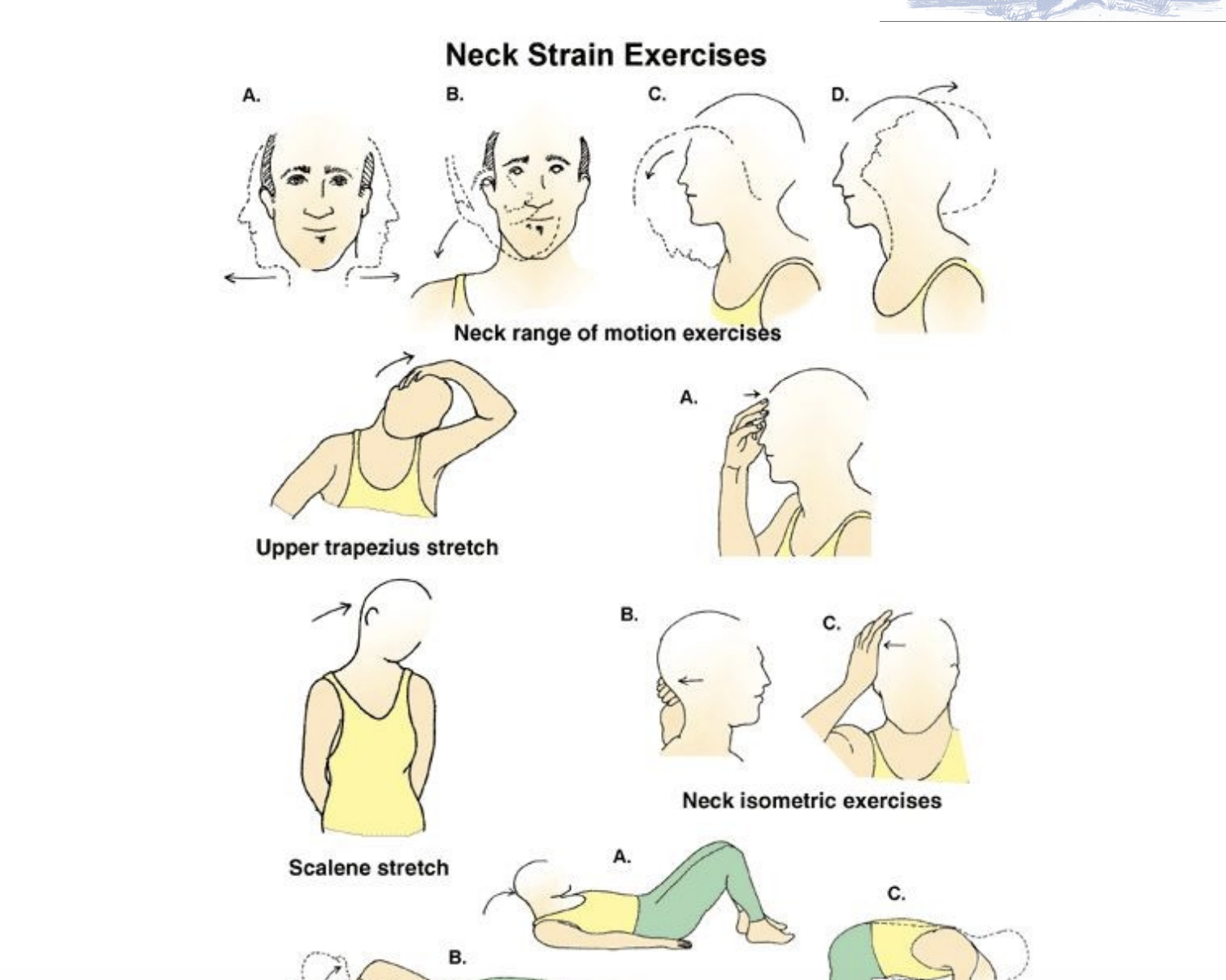 Exercise Image